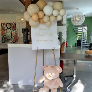 Balloon Styling gender reveal gepersonaliseerd bord met beertje ballonnen Tilburg